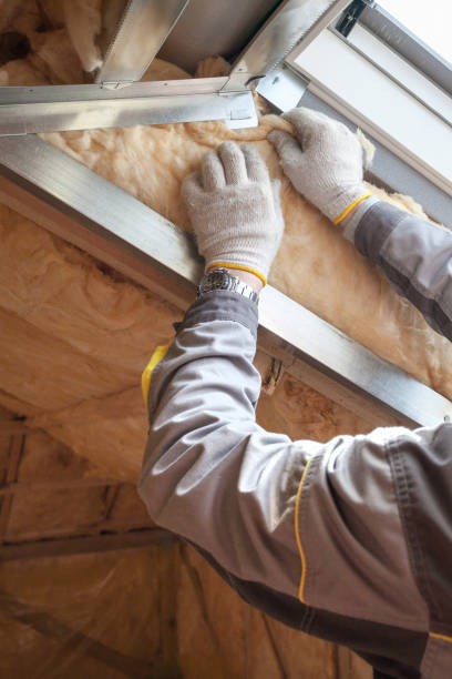 Best Residential Insulation in La Plata, MD