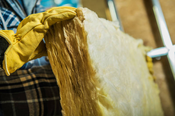 Trusted La Plata, MD Insulation Contractor Experts