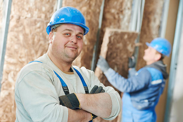 Best Eco-Friendly Insulation in La Plata, MD