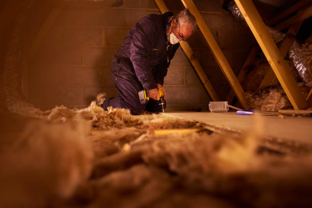 Types of Insulation We Offer in La Plata, MD